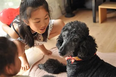 イヌを飼うと思春期の児童のメンタル改善が明らかに!ネコでは効果認められず