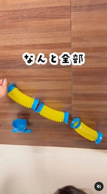 セリア「見つけたら即買いがおすすめ」「ちょうどいい大きさでコスパも◎」大人気のおもちゃ4選