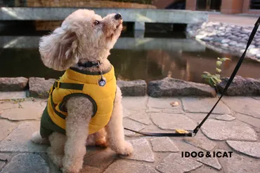 IDOG&ICATオリジナルペットウェア2025年秋冬コレクションを2025年8月20日より順次販売 – IDOG&ICAT