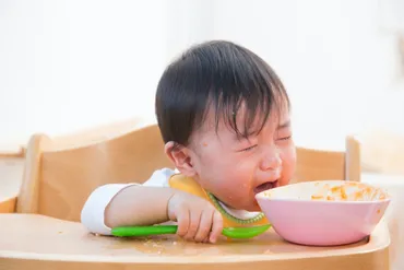 イヤイヤ期の食事問題？原因と対策を徹底解説！(2歳児、偏食、遊び食べ)イヤイヤ期の食事問題：原因、対策、食事を楽しくする工夫