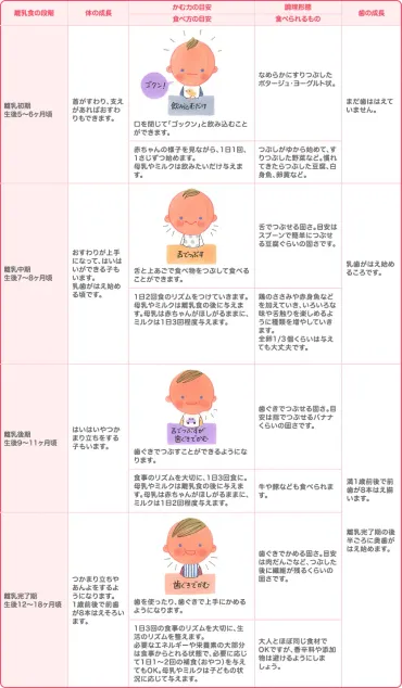 離乳食の進め方を初期・中期後期・完了期までそれぞれ解説！【管理栄養士監修】 