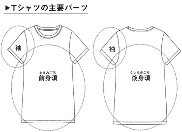 Tシャツ選びの新常識？：2025年最新トレンドと高品質国産Tシャツの魅力とは？2025年春夏Tシャツ：デザイン、機能性、着こなしの進化