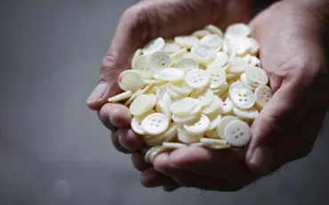 貝ボタンの魅力とは？歴史や種類、未来の可能性を探る！(？)奈良県川西町が誇る貝ボタンの秘密