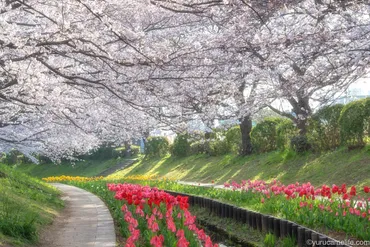 写真の魅力とは？写真歴17年の女性が語る、心豊かな写真の世界とは？写真を通して見つけた、心の豊かさ、人との繋がり、そして作品への情熱