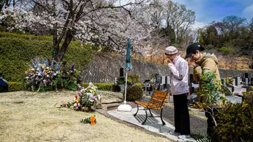 石から樹木」へ、「血縁から結縁」へ：日本のお墓の景色を変えたエンディングセンターの桜葬と墓友活動 
