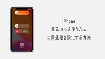 群ようこの『猫とスマホと私』ってどんな話？スマホデビューと愛猫との別れを描くエッセイとは？群ようこのスマホと愛猫との生活を描くエッセイ。スマホとの格闘、愛猫との別れ、そして新しい生活。