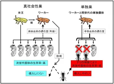 ダーウィンが残した謎が解明：社会が進化を担う 
