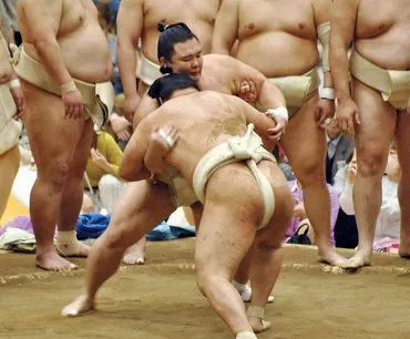 大相撲、場所、未来へ！相撲ファンが語る熱い想いと、相撲界の未来への期待は？相撲への情熱、そして未来への期待